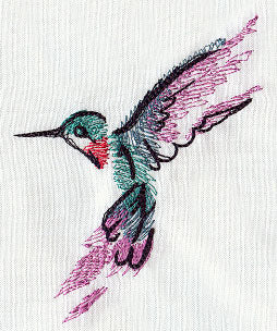 Painted Hummingbird