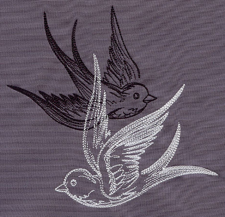Light and Shadow Swallows