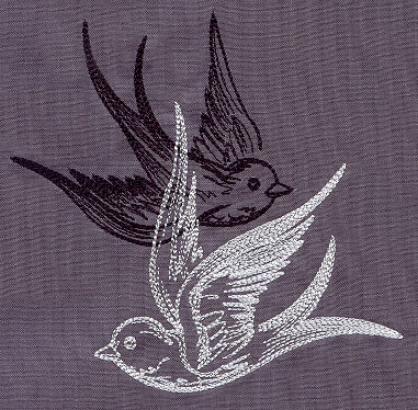 Light and Shadow Swallows