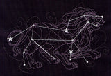 Ecliptic Constellations - Leo