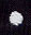 Ecliptic Constellations - Star 5