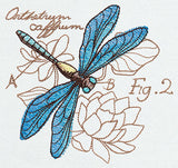 Miniature Menagerie Dragonfly Diagram