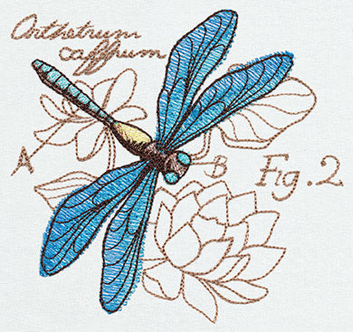 Miniature Menagerie Dragonfly Diagram