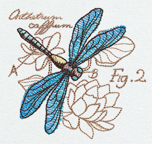 Miniature Menagerie Dragonfly Diagram