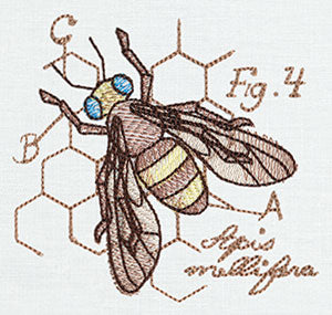 Miniature Menagerie Honeybee Diagram