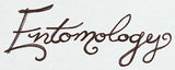 Miniature Menagerie Entomology Text