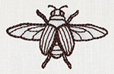Miniature Menagerie Beetle