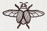 Miniature Menagerie Beetle