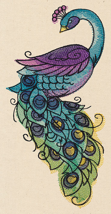 Painted Peacock