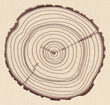 Rings of Time