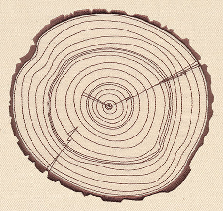 Rings of Time