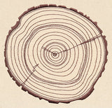 Rings of Time