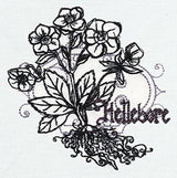 Pretty Poison - Hellebore