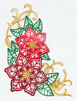 Delicate December - Poinsettias