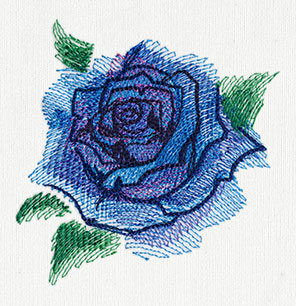 Painted Rose Bloom