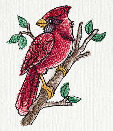 Painted Cardinal
