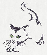 Cat Stretch