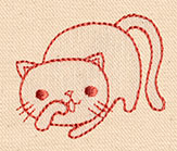 Curious Kitty 1