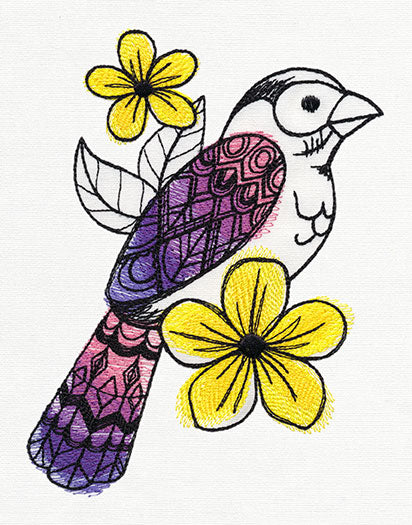 Patterned Plumage