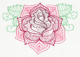 Delicate Rose
