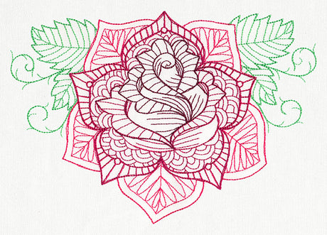 Delicate Rose