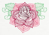 Delicate Rose