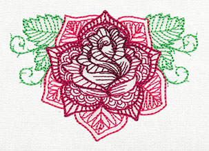 Delicate Rose