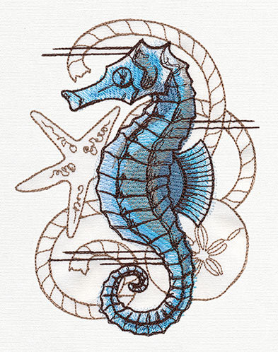 Nauticus - Seahorse