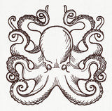 Nauticus - Octopus