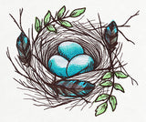 Nest - Eggs