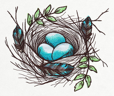 Nest - Eggs