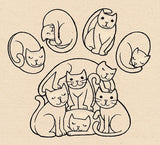 Kitty Paw