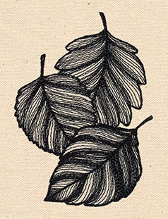 Engraved Leaves