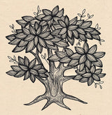 Engraved Tree