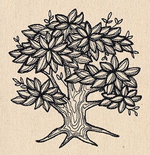 Engraved Tree