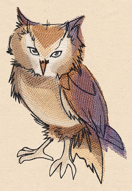 Painted Owl