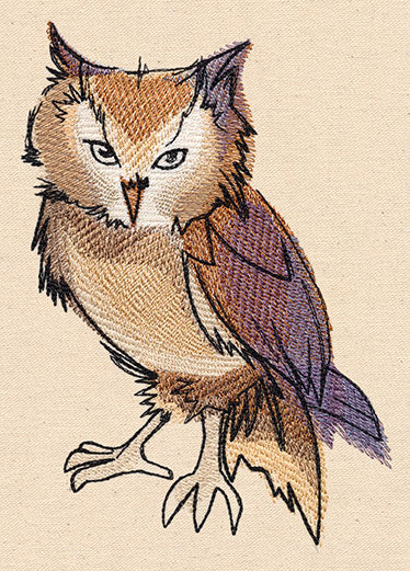 Painted Owl