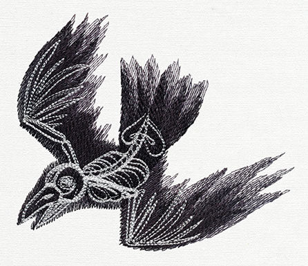 Bird Skeleton