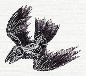 Bird Skeleton