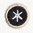 Typewriter Punctuation - Asterisk