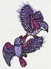 Doodle Sparrows