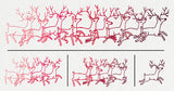 Reindeer Rainbow (Split)