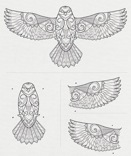 Ascending Hawk (Split)
