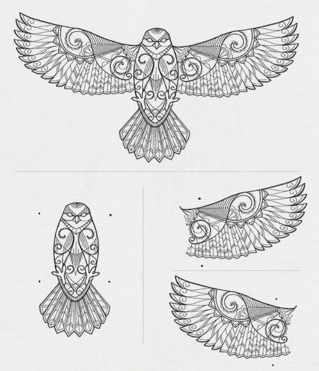 Ascending Hawk (Split)