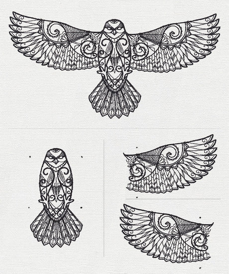 Ascending Hawk (Split)