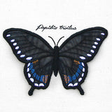 Winged Curiosities - Spicebush (3D Applique)