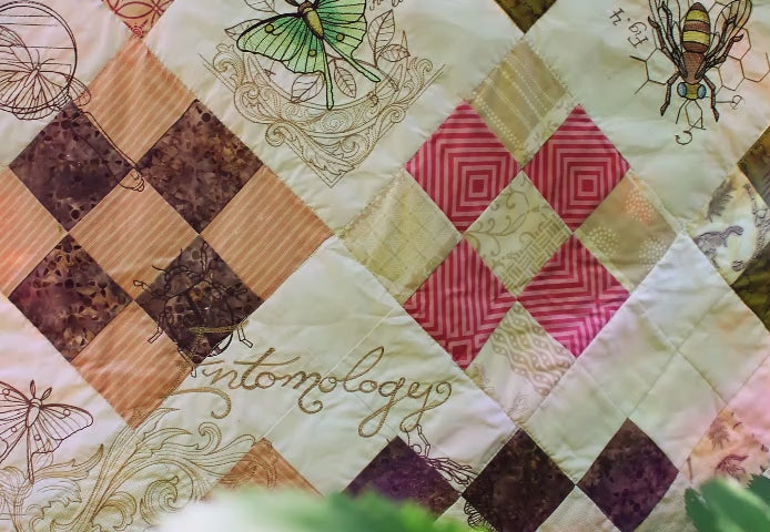 Video of a pan over of machine embroidery insect designs on a quilt.